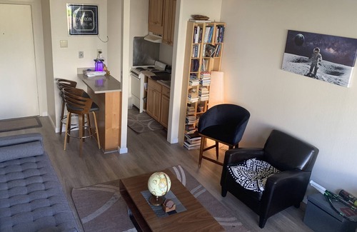 Emeryville Condo | Chilling on the dock of the bay - luxury 1 bedroom/1 bath