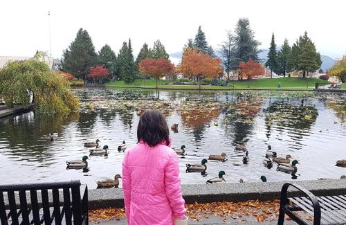 Chilliwack Proper Village West House | Chilliwack Homestay Private and Cozy Room