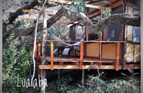 KwaMazambane Cabin | Chinderera Eco Lodge