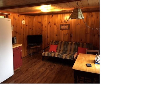 Chestertown Cabin | Chipmunk Cabin, Beautiful hand carved King Bed, Full Kitchen, plus AC! sleep 2