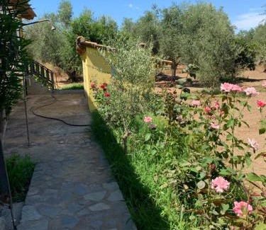 Ilida House | Christinas Home