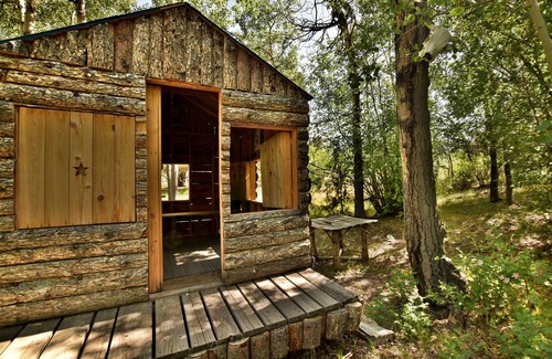 Nathrop Cabin | Christmas Perfect Mnt View Saltwater Hot Tub Cozy Fire Quiet 4 ac