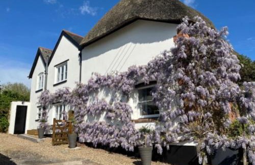 Poltimore Apartment | Church View, Poltimore Village - near Exeter