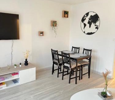 Mulhouse Apartment | CICONIA : CENTRE-VILLE MULHOUSE, PARC NOUVEAUX BASSINS A PROXIMITE