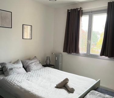 Mulhouse Apartment | CICONIA : CENTRE-VILLE MULHOUSE, PARC NOUVEAUX BASSINS A PROXIMITE