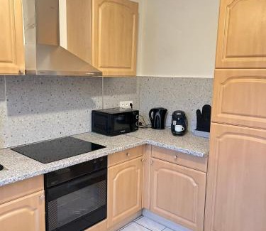 Mulhouse Apartment | CICONIA : CENTRE-VILLE MULHOUSE, PARC NOUVEAUX BASSINS A PROXIMITE