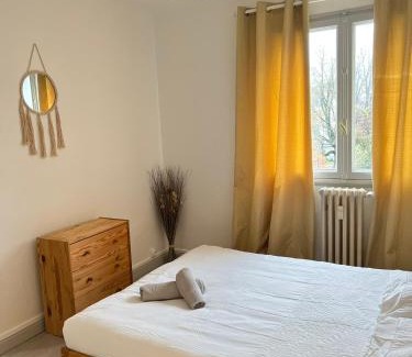 Mulhouse Apartment | CICONIA : CENTRE-VILLE MULHOUSE, PARC NOUVEAUX BASSINS A PROXIMITE
