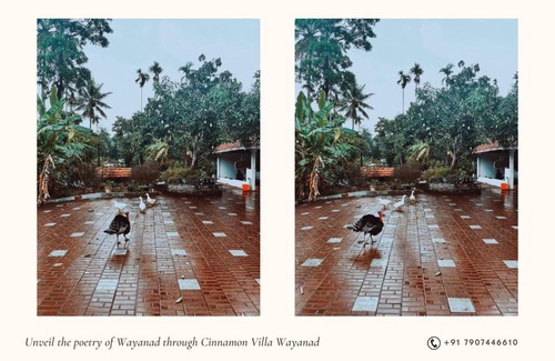 Mananthavady Apartment | Cinnamon Villa Wayanad