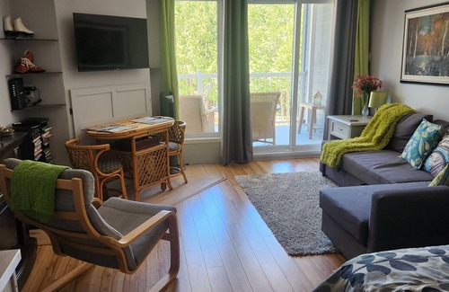 Mont-Tremblant Village Condo | CITQ 314539nComfy Old Village location that is close to park, pool and amenities