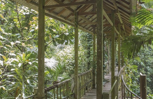 Ubud Villa | Citrus Tree Villas - Jean Francois