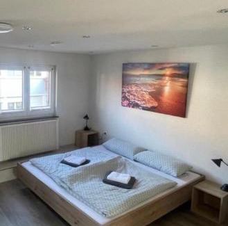Sinsheim Apartment | City Apart 2 Stadtwohnung mit NETFLIX Nahe Bahnhof