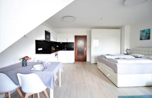 Wuerzburg Apartment | City Apartment - Old Main Bridge, own garage parking space