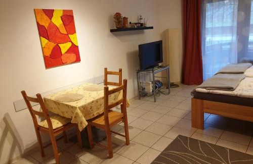 Unterwiehre-Sud Apartment | City Appartement 5