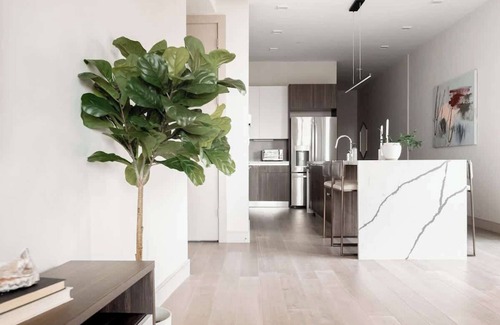 Jefferson Park Condo | City Views! | Chic Jefferson Park Condo | Tesoro