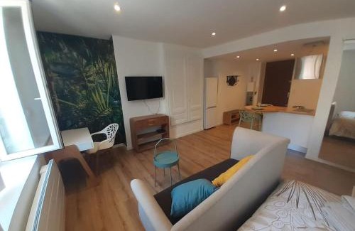 Centre Ville Apartment | Classé 3 Etoiles IDEAL VIENNE Centre ville 20 min de LYON