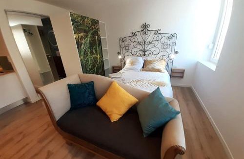 Centre Ville Apartment | Classé 3 Etoiles IDEAL VIENNE Centre ville 20 min de LYON