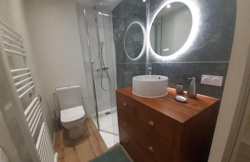 Centre Ville Apartment | Classé 3 Etoiles IDEAL VIENNE Centre ville 20 min de LYON