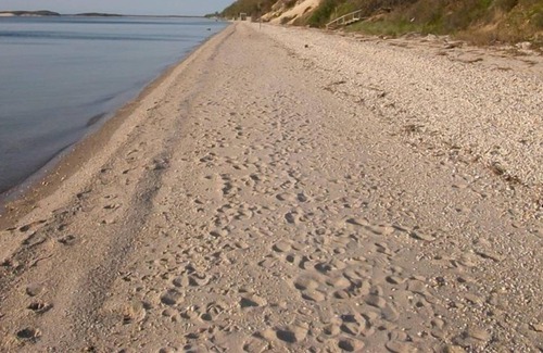 Village of Southampton Cottage | Classic Hamptons Beach Cottage