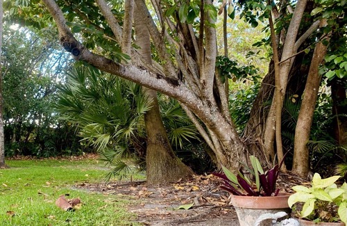 Palm Beach Gardens Cottage | Classy Cottage in PGA National. Discount for Monthly Stays!