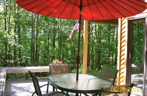 Harbor Springs Condo | Clean and Cozy, Beautiful, well kept Trout Creek Condominium