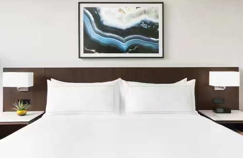 Downtown Tucson Hotel | Clean and Cozy Room Perfect for Relaxation w/Pool & On-Site Dining Options