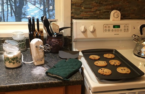 Mancelona Cabin | Clean, cozy lakefront cottage 1/2 mi from Blue Bear ORV and snowmobile trail