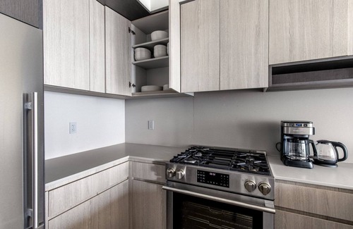 South Loop Apartment | Clean South Loop 1BR, nr Museums, Grant Park & Football, by Blueground