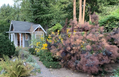 Kenmore House | Clean spacious home in Kenmore with fun perks!