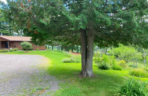 Hayward Cabin | Clear Your Mind on Clear Lake