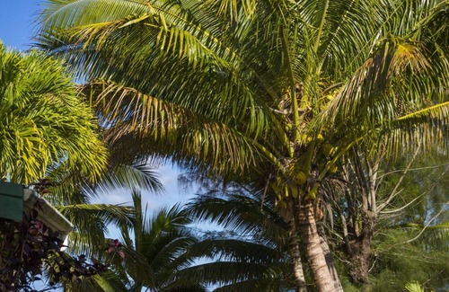 Arorangi House | Clearwater Lagoon Villa - The Perfect Beachside Island Getaway Location