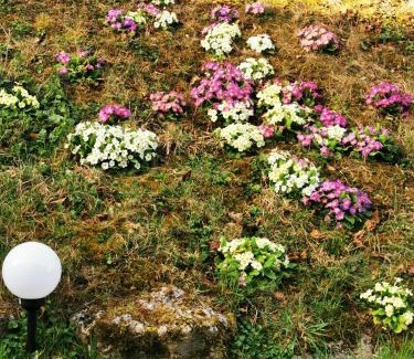 Vittel Apartment | Clos des lys