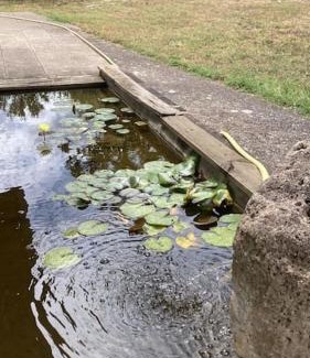 Laugnac Villa | Clos du Palens Agen - Que des amis, que du bonheur