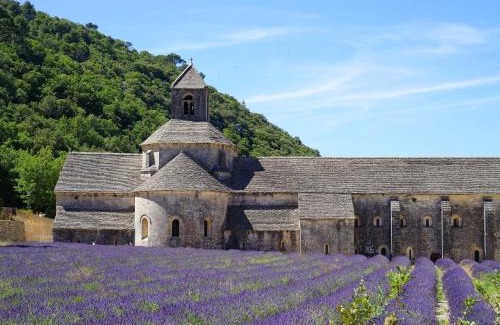 Avignon House | Clos St Pierre de Fraisse