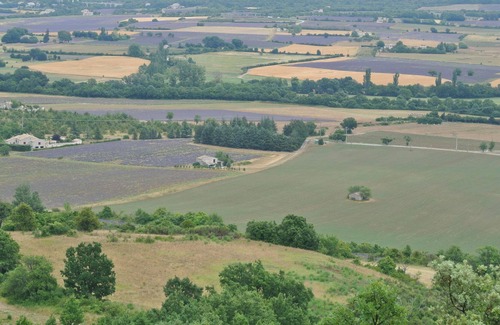 Chateauneuf-Miravail Cottage | Close the skylight the sunflowers