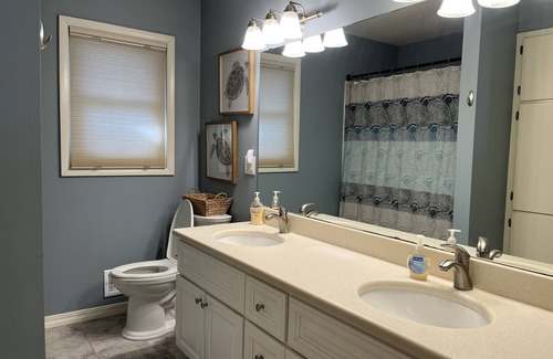 Rochester House | Close to everything, Amazing sun room, private backyard, BEAUTIFUL HOME