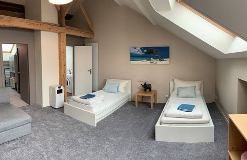 Cessy House | Close to Geneva (8 km)