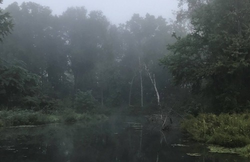 Chautauqua Cottage | Close to harbor Hideaway Cottage