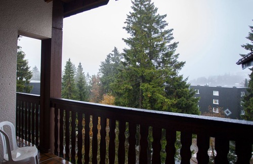 Winterberg Apartment | Close to slopes and bikepark