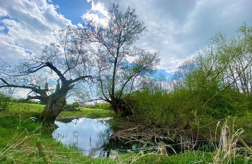 Cricklade Cottage | Close to The Cotswold Water Park, Birch is the perfect base to explore the local surroundings.