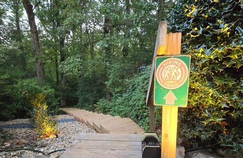 Pickens Cottage | Closest to Table Rock Hot Tub Private Trail Fire Pit Secluded Free SC Park Entry