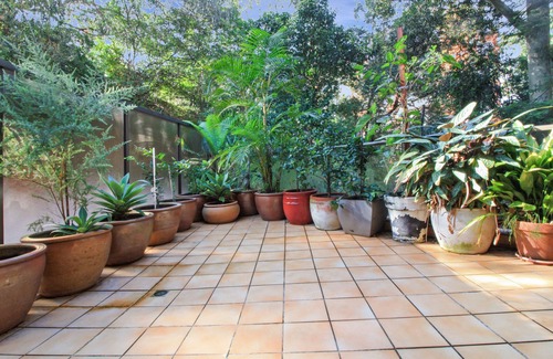 Randwick Apartment | CLOVELLY-PETS WELCOME-LIFESTYLE-BEACHES-PARKS-HEATED POOL-200SQM YARD-BUS-CAFES