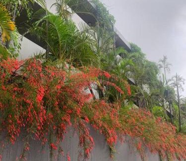 Salt Rock Apartment | Coastal Condo in a Forest Estate - with inverter