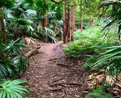 Thirroul Apartment | Coastal Rainforest Retreat