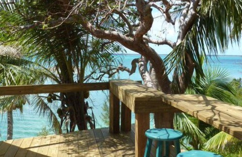 Green Turtle Cay Cottage | Coco Nut Tree House is nestled in Tropical Foliage on Crystal Clear Sea of Abaco