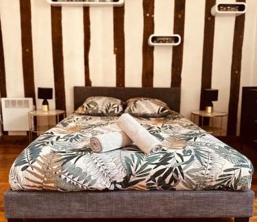 Joigny Apartment | Cocon Bois-Joly