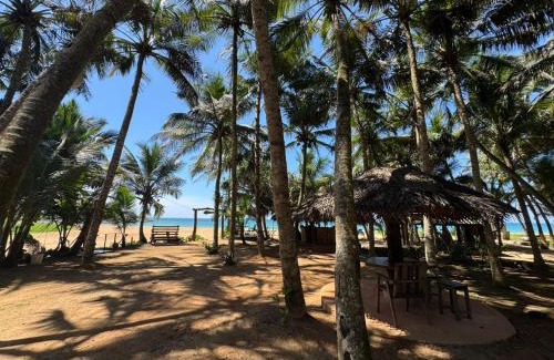 Aturuwella House | Coconut Bar
