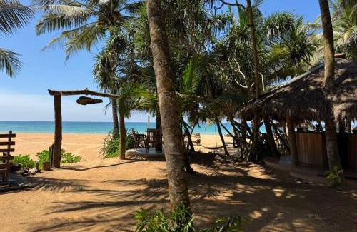 Aturuwella House | Coconut Bar