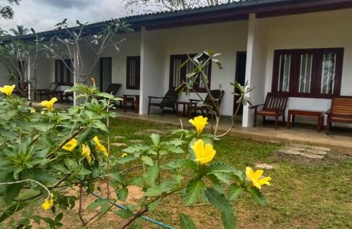 Talalla Hotel | Coconut Beach