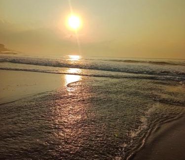 Talalla Hotel | Coconut Beach