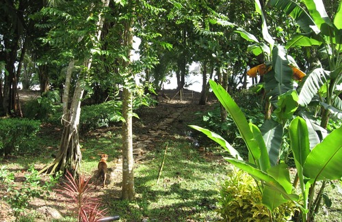 Dominical Cottage | Coconut Grove Oceanfront Cottages Playa Domincalito